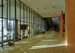 Sommerakademie Paul Klee