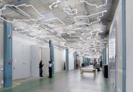 Sommerakademie Paul Klee