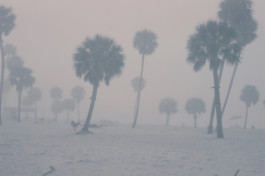 Sommerakademie Paul Klee